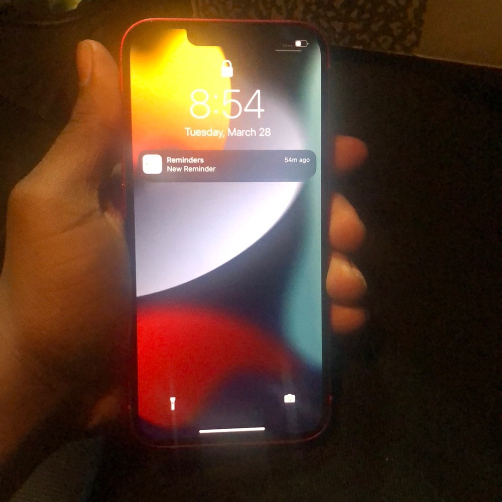 iPhone 13 (unlocked)